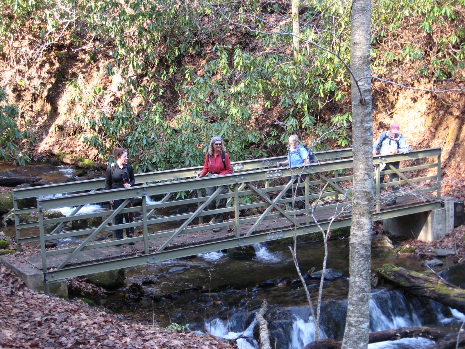 greenmon's folly Rock Castle Hike