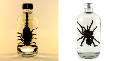 World’s Unusual Liquor and Strongest Drinks Seen On coolpicturegallery.blogspot.com World’s Unusual Liquor and Strongest Drinks Seen On www.coolpicturegallery.net