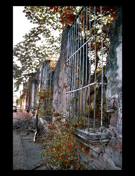 OLVIDADOS Y ABANDONADOS