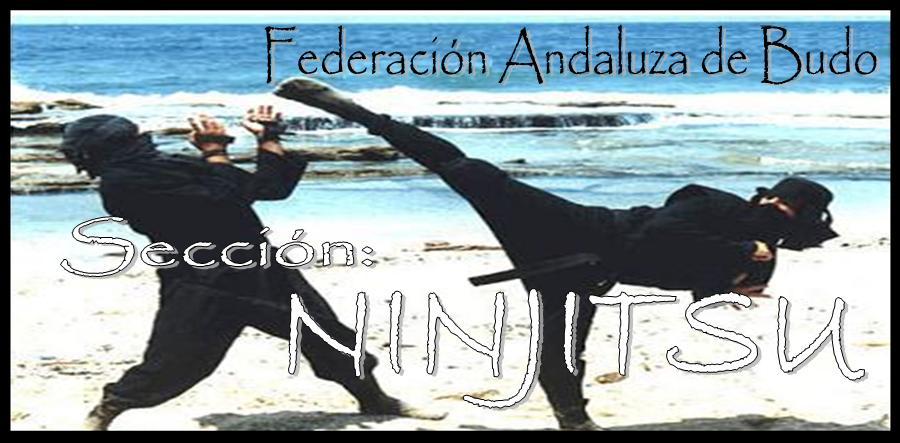 Sección NINJITSU de la Federación Andaluza de Budo