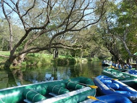 流浪の画家 の隆くん 安曇野の秋は今一