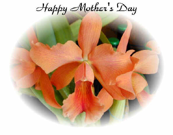 happy mothers day. Happy Mothers Day