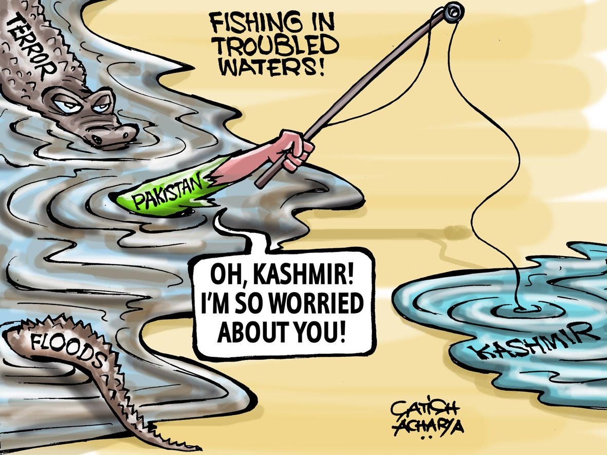 World of an Indian cartoonist!: Pakistan is worried about Kashmir situation!