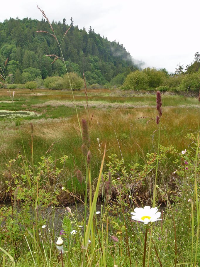 WOW! Crescent Beach, Port Angeles, WA