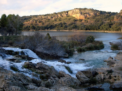 SEO CIUDAD REAL: noviembre 2010