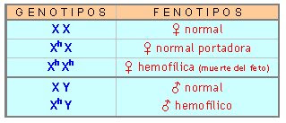 [geneticahemofilia.bmp]