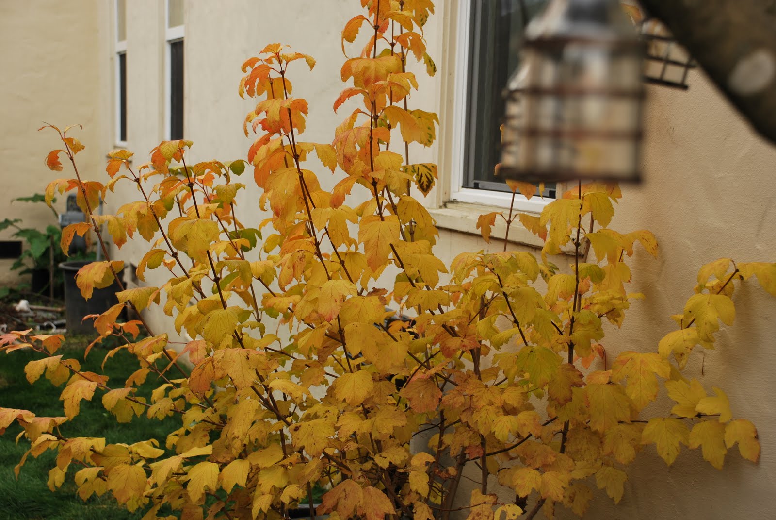 [DSC_0645.JPG]