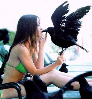 [birdflu.jpg]