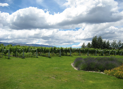Carrick Winery, Central Otago