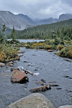 Misty Mountain