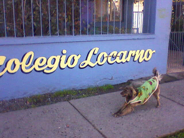 La mascota del colegio