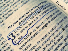 Tudo tem seu tempo...