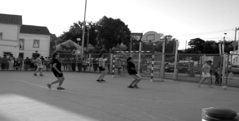 [3.gif]