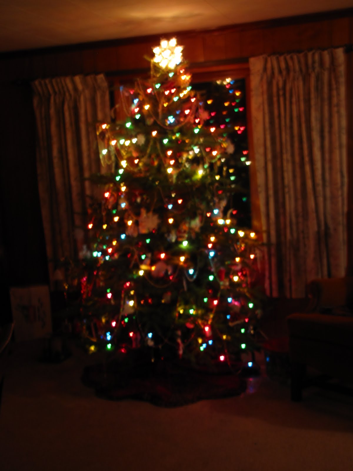 [IMG_0283.JPG]