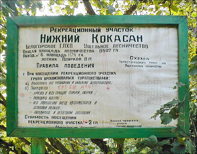 Нижний Кокасан Нижний Кокасан