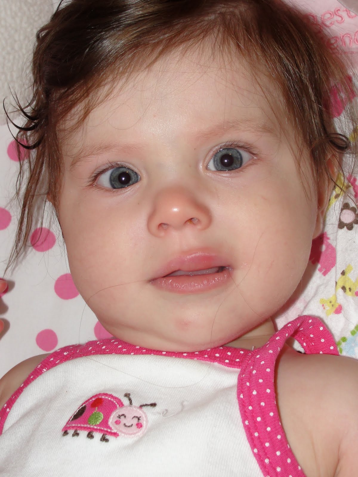 The Thomens Busted Lip!