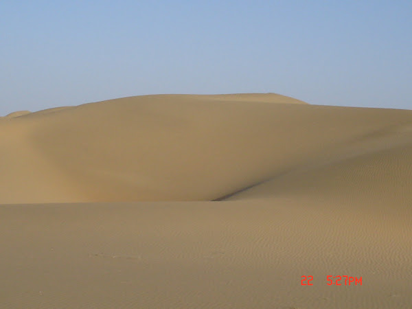 Loneliness