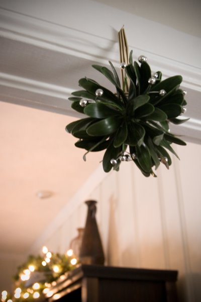 [Mistletoe_Blog.jpg]