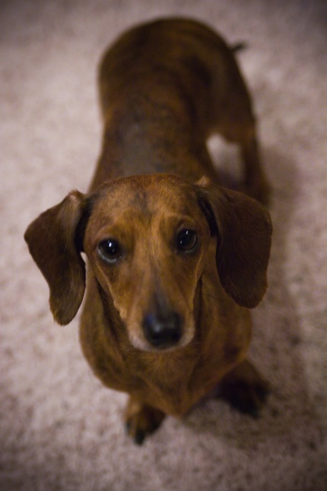 [Roxy.jpg]