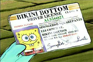 spongebob-driving-licence
