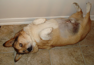 external image DSC06779.JPG