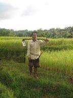 gambar: gambar pak tani