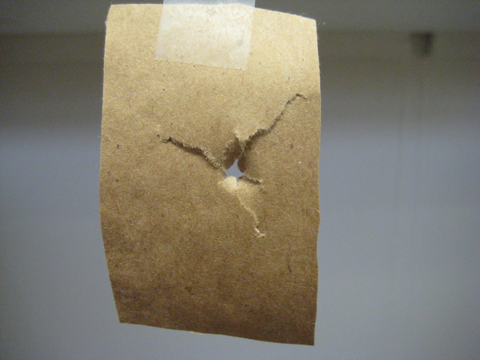 The Blazing Orange Paper Tuning A Bow 101