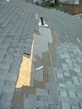 Wind damage 4