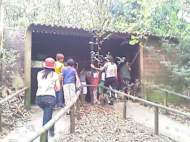 [IMAG0070.JPG]