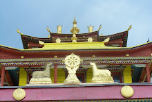 Guardian del templo