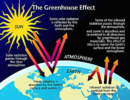 global warming: GREENHOUSE
