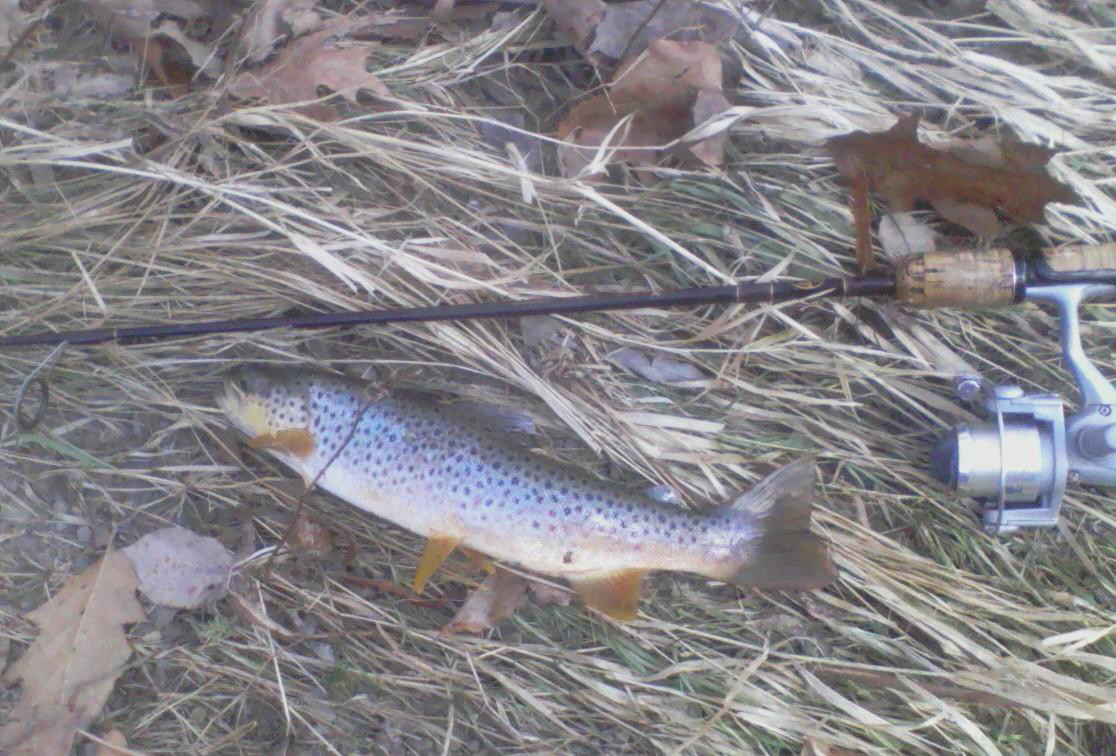 'Twas the Night Before Christmas Penns Creek, PA Trout Fishing NC