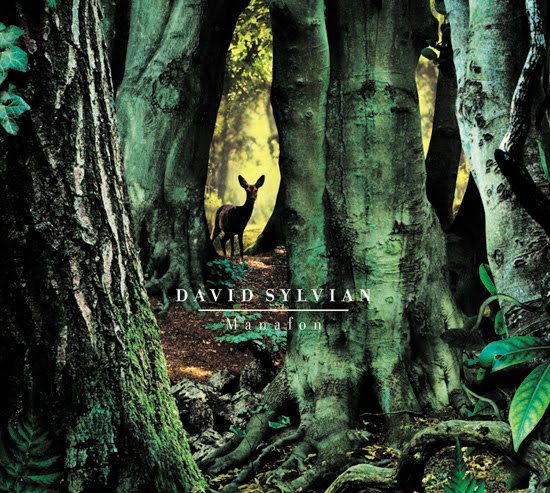 [david_sylvian_manafon.jpg]