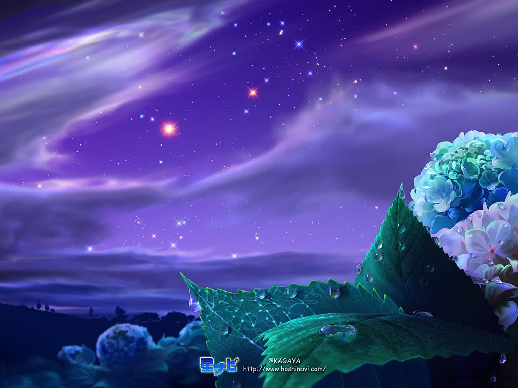 [estrellas-cielo-nocturno-964505.jpeg+estrellas]