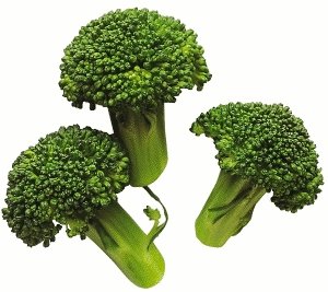 [broccoli_3.jpg]