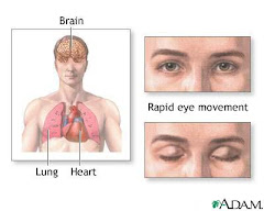 Sleep Study (Polysomnography)