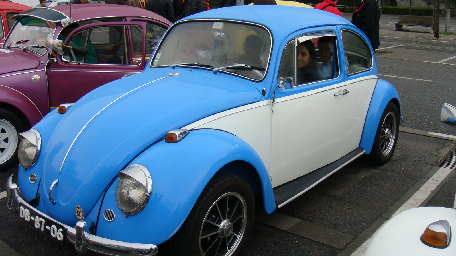 [DSC03335.JPG]
