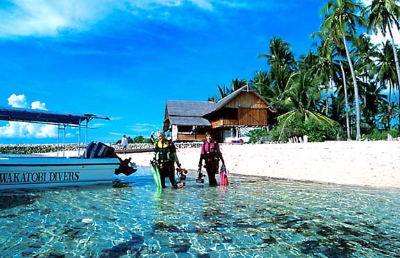 Pulau Tomia
