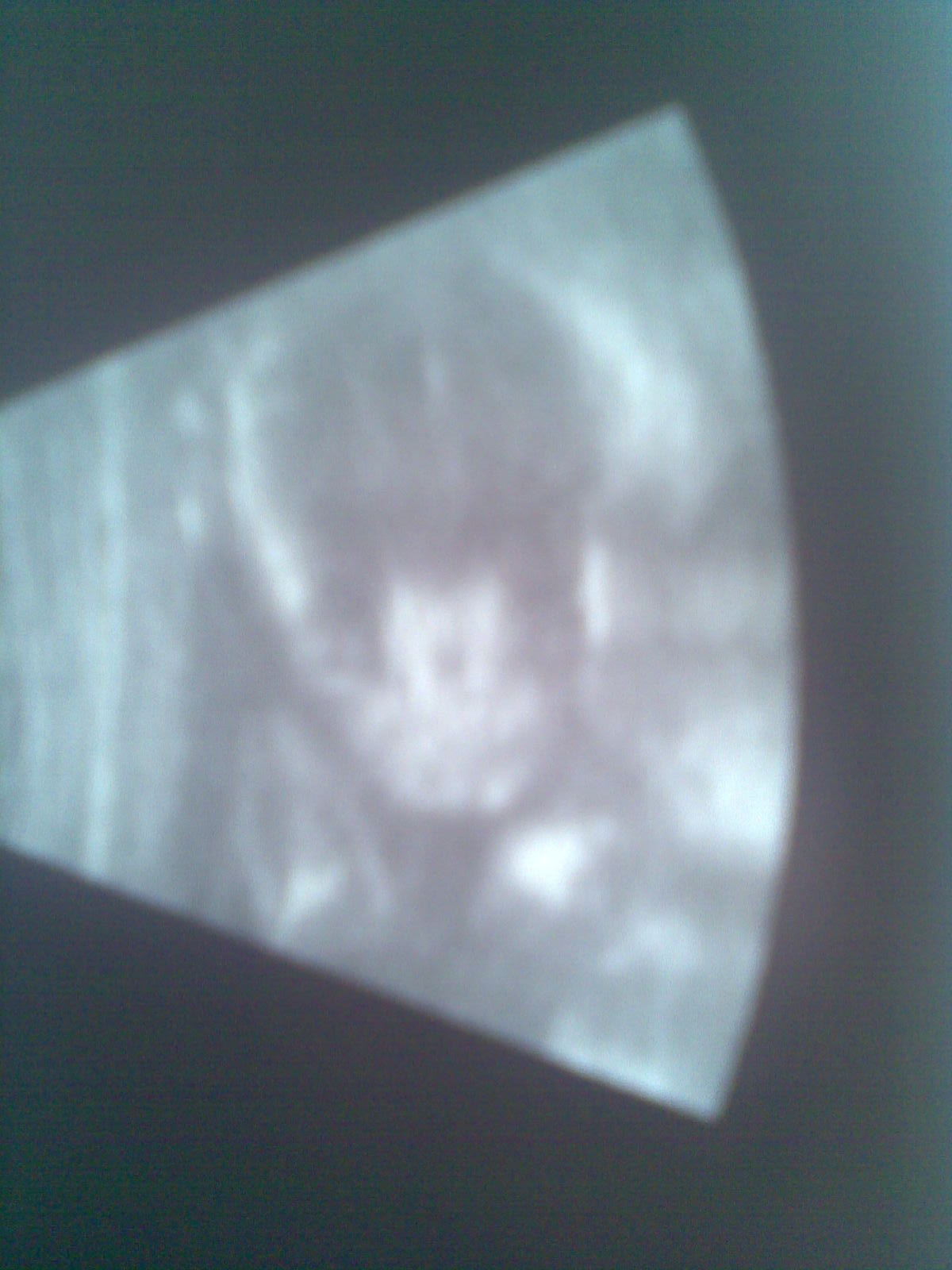 [Image174.jpg]