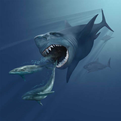 *UNIPOLI neighborhood*: Megalodonte ¨ Monster shark¨