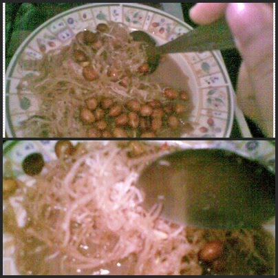 Kucing Betina Bulung Rujak Rumput Laut Khas Bali