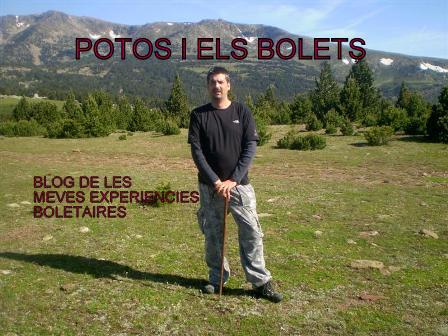 POTOS I ELS BOLETS
