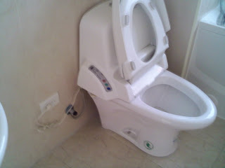Crazy toilet