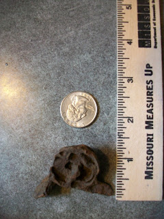 "What is this? (Repost with new pic and scale) - Homesteading Questions