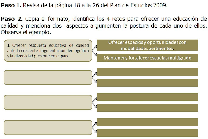 ACTIVIDAD 7