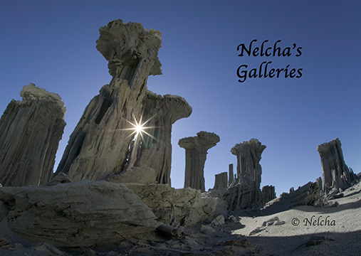 Nelcha's Galleries Blog