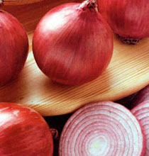 CANNARA RED ONION, UMBRIA