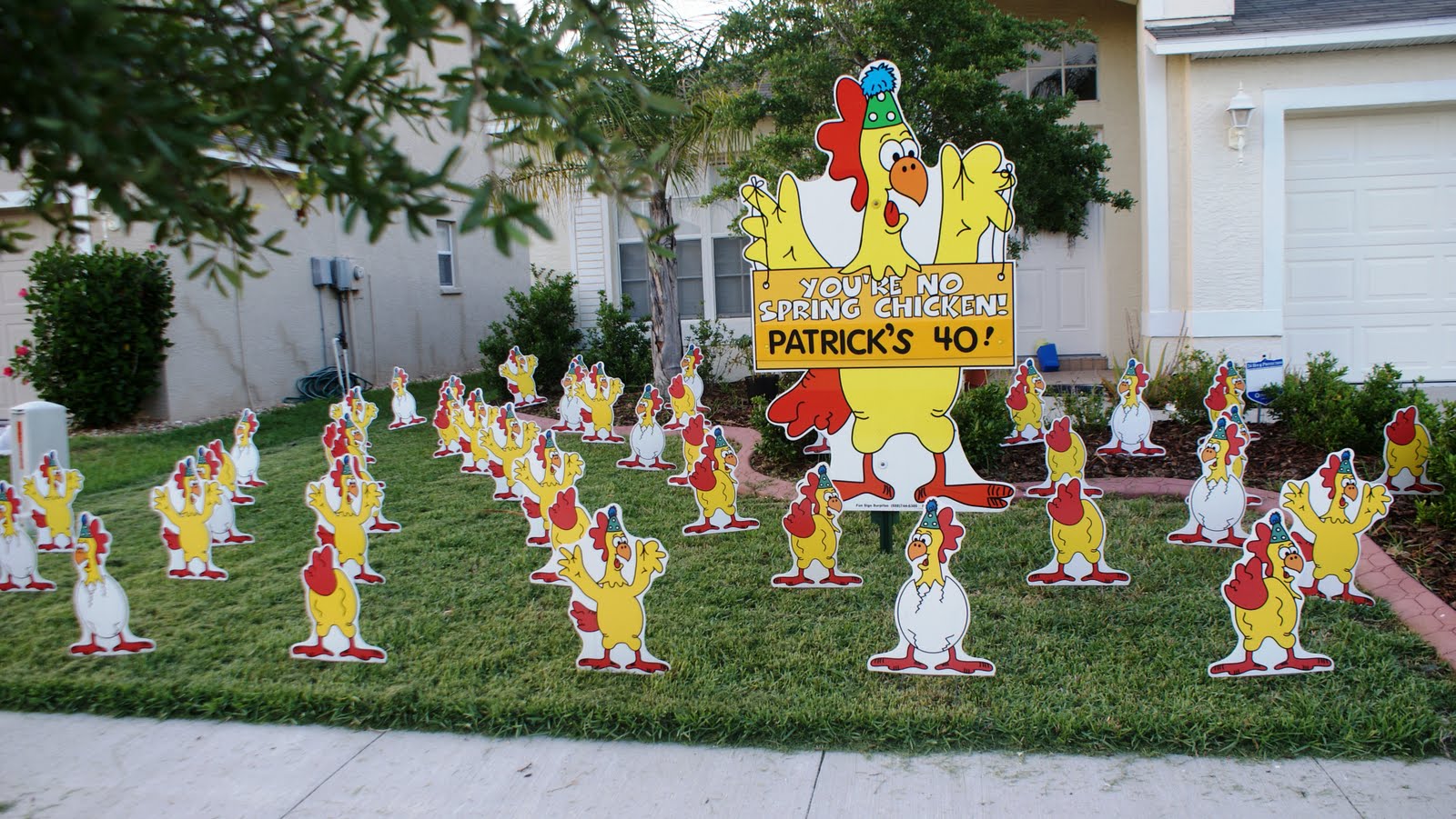 *BIRTHDAY YARD FLOCKING & DECORATIONS* TAMPA, FL CALL TODAY 8137777185