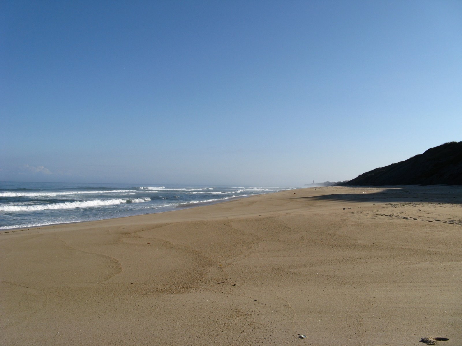 [IMG_0741.JPG]