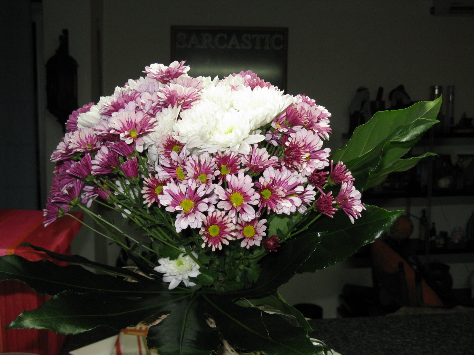 [IMG_0974[1]]